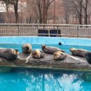 동물원 화장실 이미지