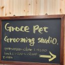 그레이스펫그루밍스튜디오 이미지