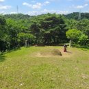 신두왕로 이미지