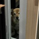 루아네 하우스 이미지