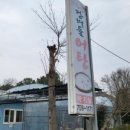 강버들어탕