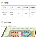 화명오토캠핑장 | [부산 캠핑장/부산 야영장] 갈대가 너무 예쁜 화명오토캠핑장 후기