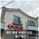 뿔난맛 | 제주 애월맛집 고내리 흑돼지 맛집 - 뿔난돼지 방문 후기