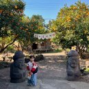 서리내농장 | 제주도 3박4일 3일차 일정｜아이와 서귀포 여행 코스 (감귤체험+잠수함+워터월드+맛집)