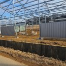 장기태양광발전소 이미지