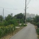 행목리 네이버블로그