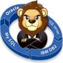 라온 소프트 이미지