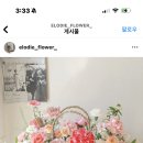 엘로디플라워 이미지