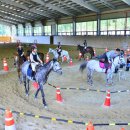 순창군승마장 이미지