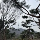 트리플타워A | 2026 N서울타워 와인페어 1차 솔직후기