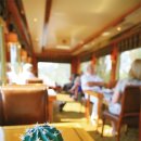 블루아프리카 이미지