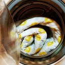 보국크리닝 이미지