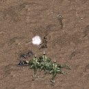 (주)월드뷰 이미지