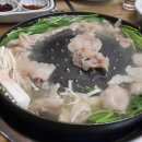 복어찬가 이미지