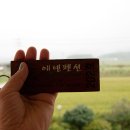 고수록펜션