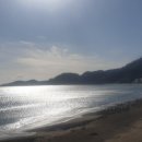 장기초등학교모포분교장 이미지