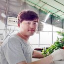 꽃부농