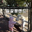6806 | 제주 아이 체험 추천 길갈팜랜드 동물 먹이주기 후기