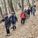 우면산둘레길 (35 매화산악회 정기산행 - 2024. 2. 20) 이미지