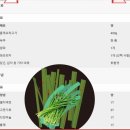 광양 우리집 중마점 오리고기 전문점 요리 고기 효능과 부추 겉절이 요리법 /무 쌈 말이는 덤