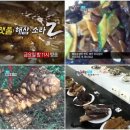 부산해물유통 티스토리
