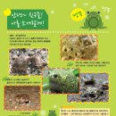 계도어촌체험마을 이미지