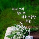 행복나름이 이미지