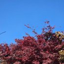 핸드메이드게임 | 11월 셋째주 갤털 | 30년 전통의 핸드 메이드 수제 인생 블로그