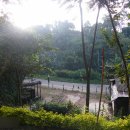 엘라(ELLA) 이미지