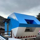 영주호오토캠핑장 | 영주호오토캠핑장 동물카라반 내돈내산 후기