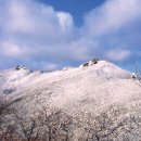 광양이야기 이미지