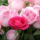 삼진한의원 이미지