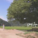 머무르다 이미지