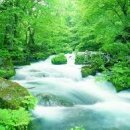 오행생식원 - 화성시 동탄대로 495 | 오행생식원