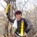 연초면사무소 이미지