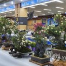 횡성군청 민원실 이미지