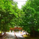 홍제교 밑 | 100대 명산 재약산과 천황산 산새좋은 밀양 표충사