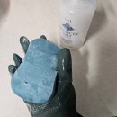 하얀세이프 | 남극솔트 18% 함량, 거품혁신 '세이프 남극솔트 주방세제' 유칼립투스향 제품 리뷰