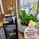 1인세신샵 목간 | [명지] 여성전용 1인세신샵 목간. 혼자서도 엄마, 아이와도 함께.