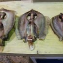 미래수산 이미지