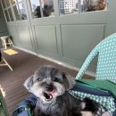 에브리 뽀송 이미지