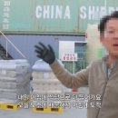 장터집