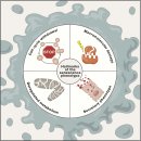 세포 노화 cellular senescence의 통시적 탐구!! 이미지