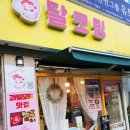 사우로 R 이미지