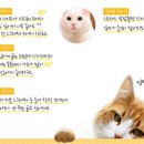닥터페이퍼 이미지