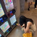 뽑기하고 갈래 이미지