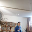 피노펠리즈 이미지