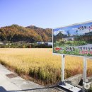 안동포특산단지 네이버블로그