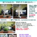 현대포토 Daum카페
