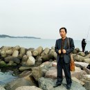 한국춘난판매